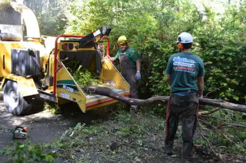 tree services West Blocton